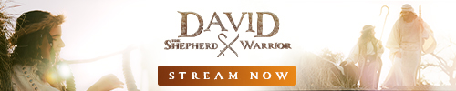 David-Shepherd Warrior